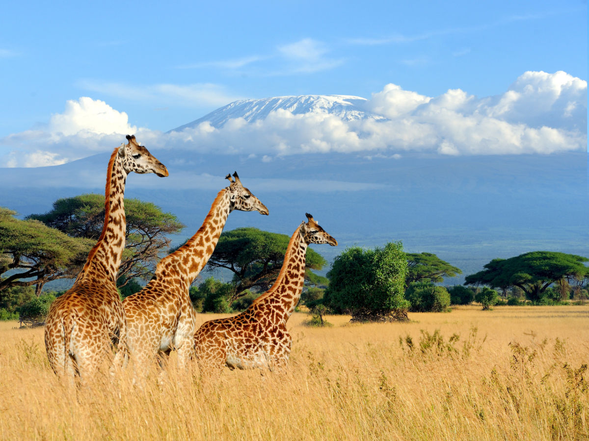 Kenya field experience